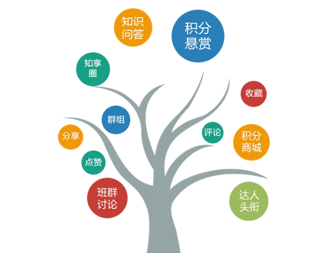 豐富的互動方式和積分頭銜激勵，極大的提升用戶的學習熱情